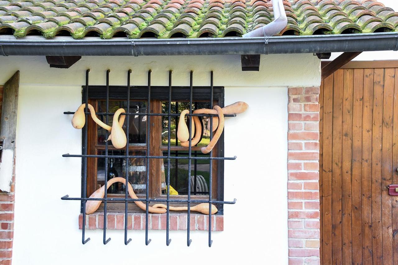 Casa Zafferano Guest House Albenga Exterior foto